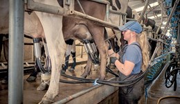 February dairy market review